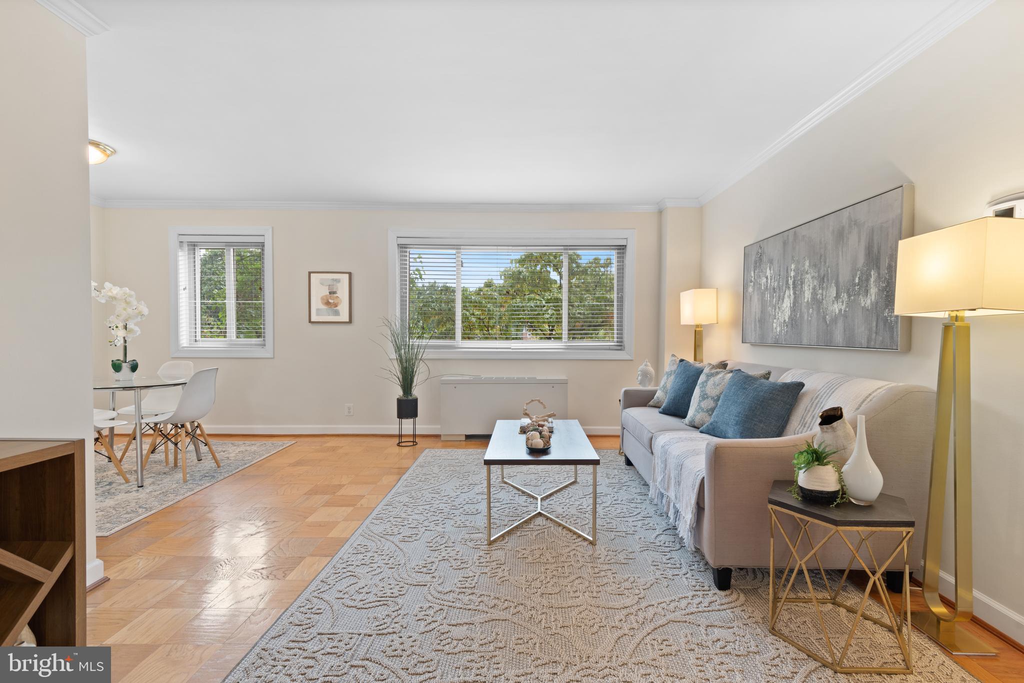 4570 MacArthur Boulevard Northwest, Unit 105 Washington, DC 20007 - Photo 3 of 20 Spacious living room with tree views