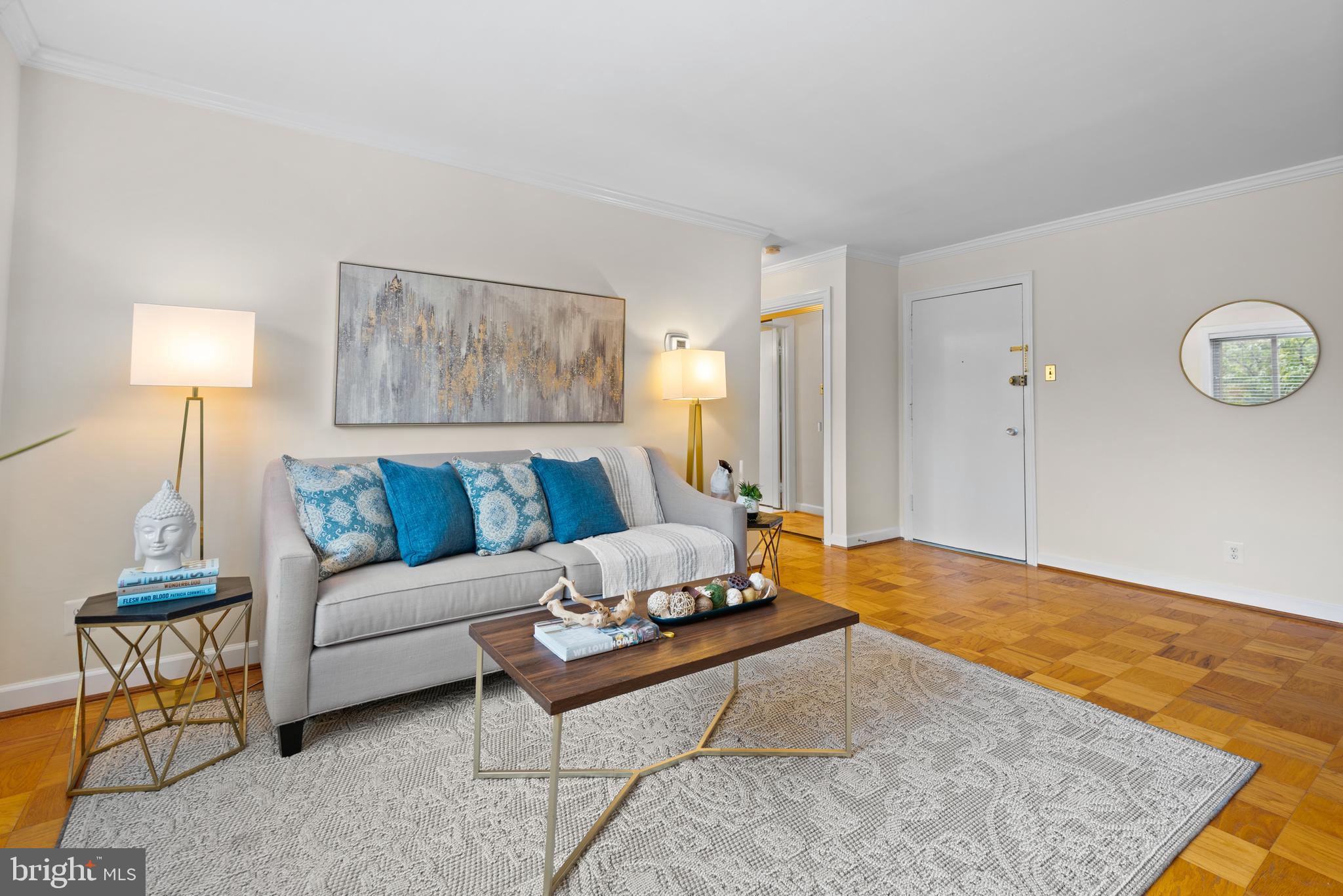 4570 MacArthur Boulevard Northwest, Unit 105 Washington, DC 20007 - Photo 4 of 20 Living room towards entry door