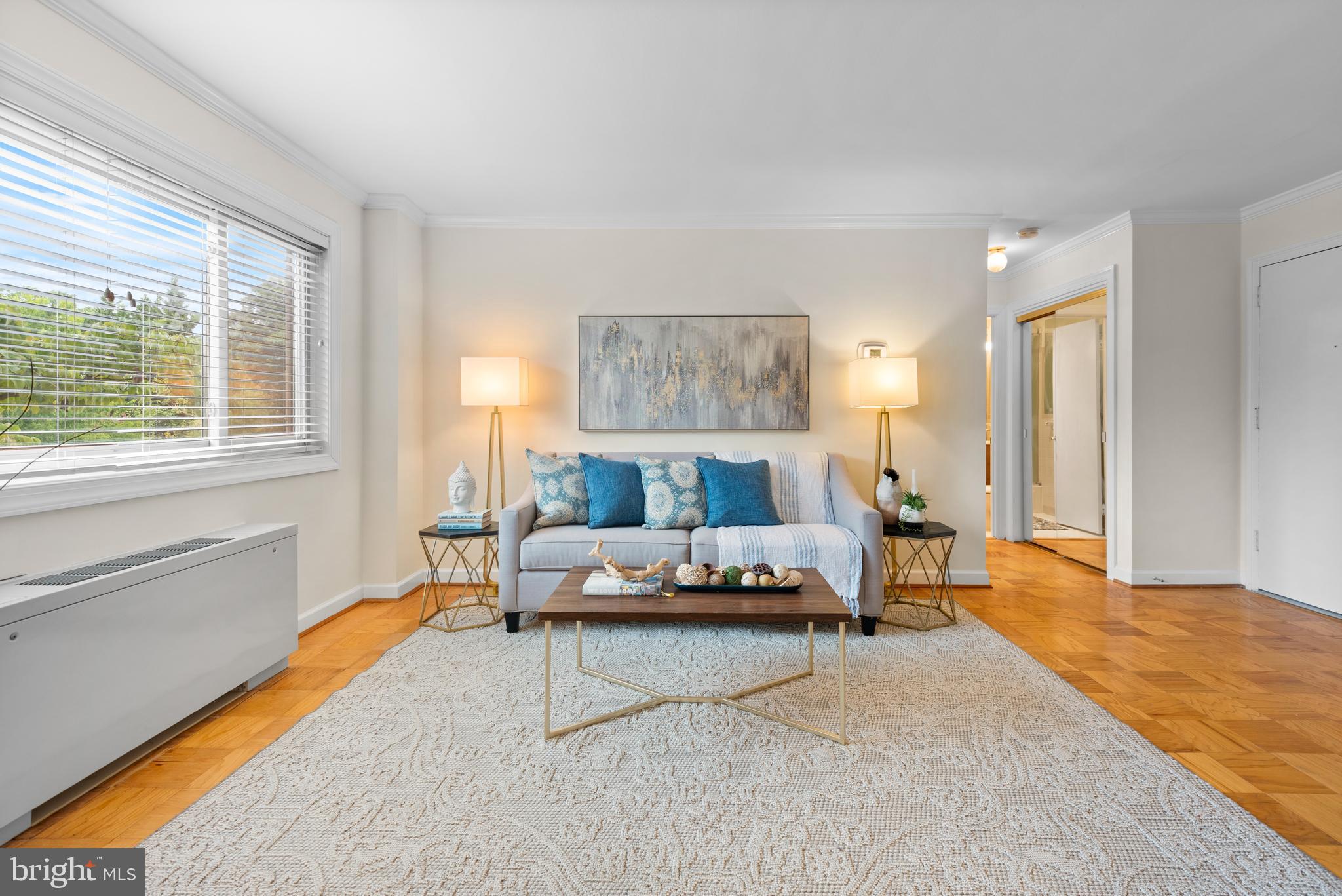 4570 MacArthur Boulevard Northwest, Unit 105 Washington, DC 20007 - Photo 7 of 20 Spacious living room