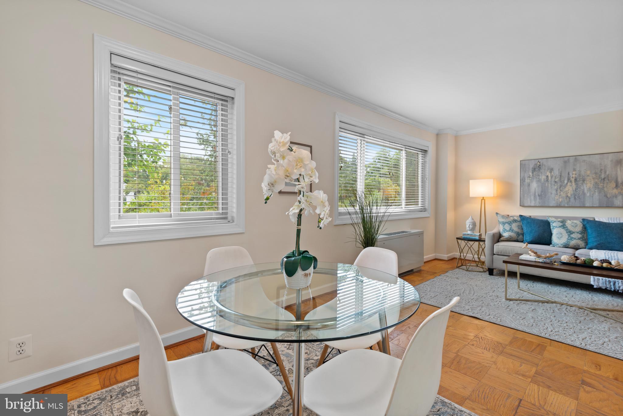 4570 MacArthur Boulevard Northwest, Unit 105 Washington, DC 20007 - Photo 9 of 20 Dining area towards living room