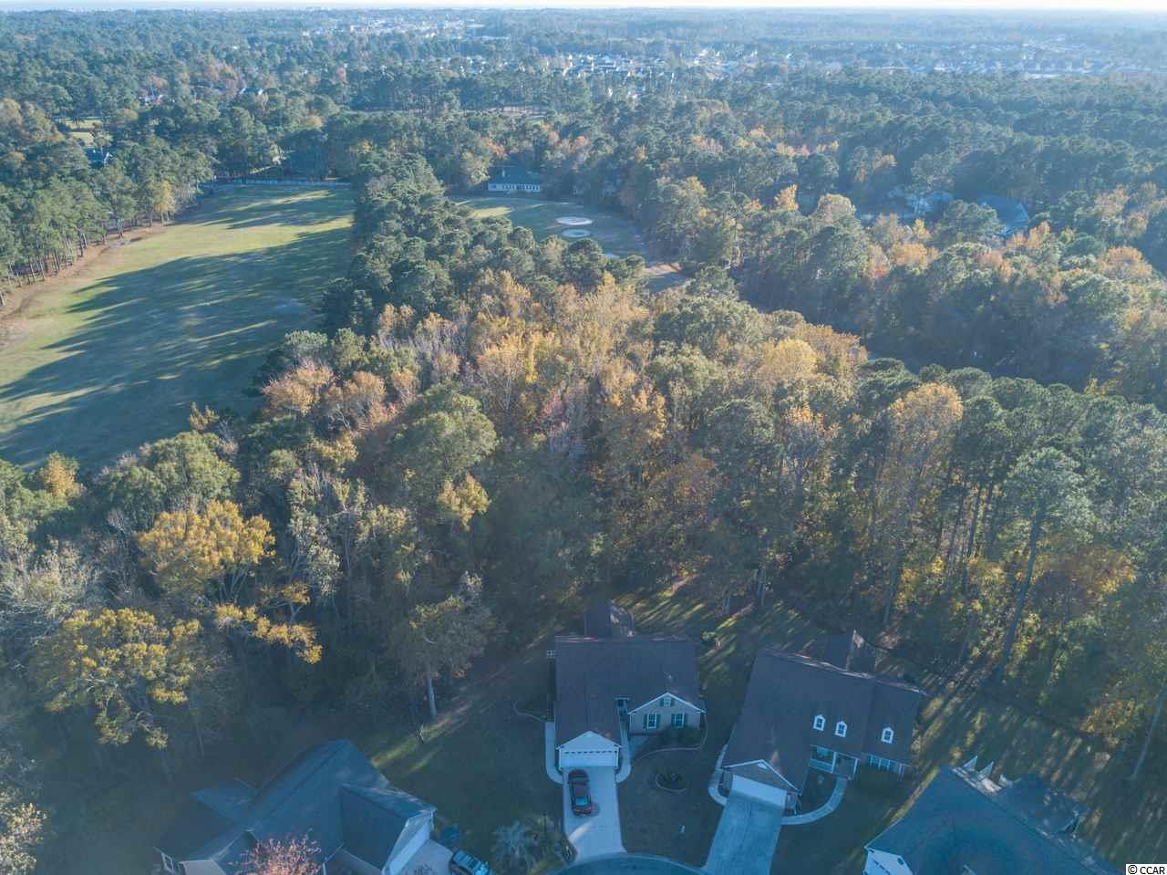 1241 Merion Court Murrells Inlet, SC 29576 - Photo 39 of 40 Gallery Image 39