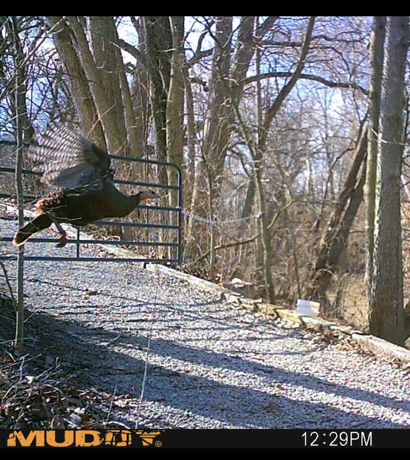 0 Fetters Road Bradford, OH 45308 - Photo 35 of 56