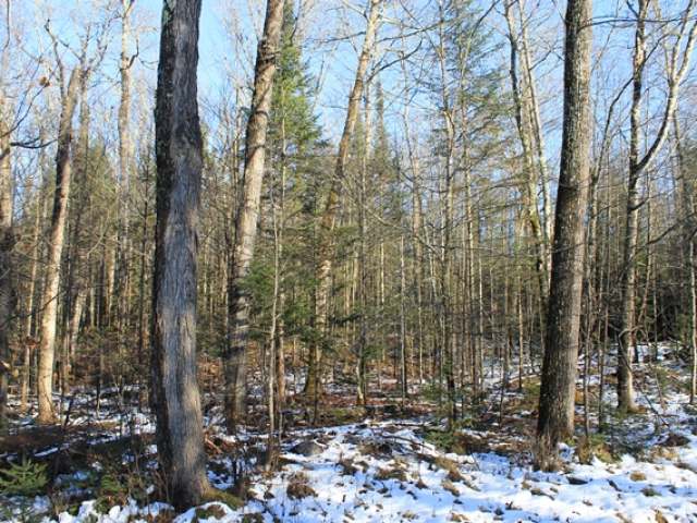 On On Cth G, Unit LT11 Mercer, WI 54547 - Photo 8 of 12 Gallery Image 8