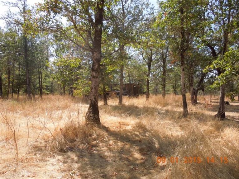425 Dick George Road Cave Junction, OR 97523 - Photo 23 of 23 Additional Photo