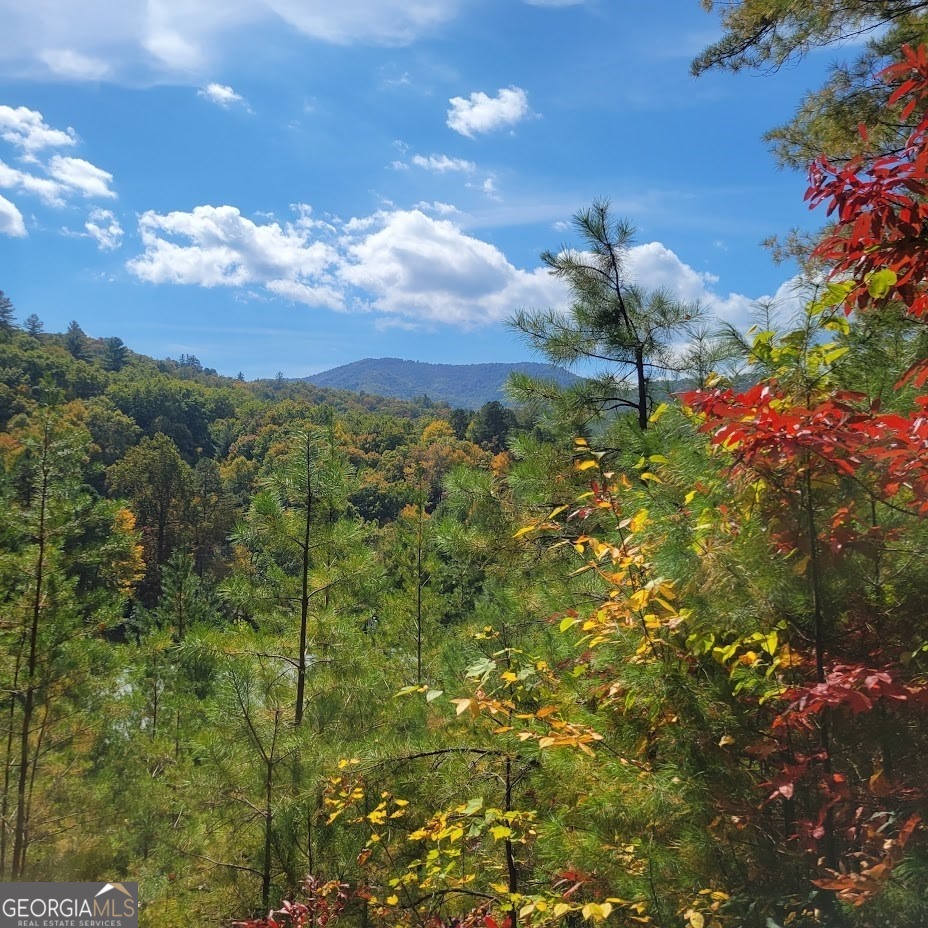 3.38-acres Long Creek Road Robbinsville, NC 28771 - Photo 2 of 14 a view of a yard