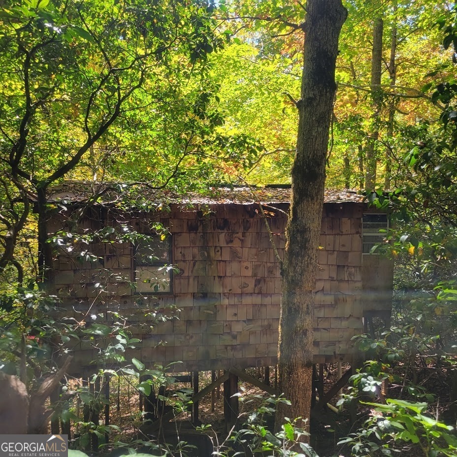 3.38-acres Long Creek Road Robbinsville, NC 28771 - Photo 3 of 14 a picture of a tree