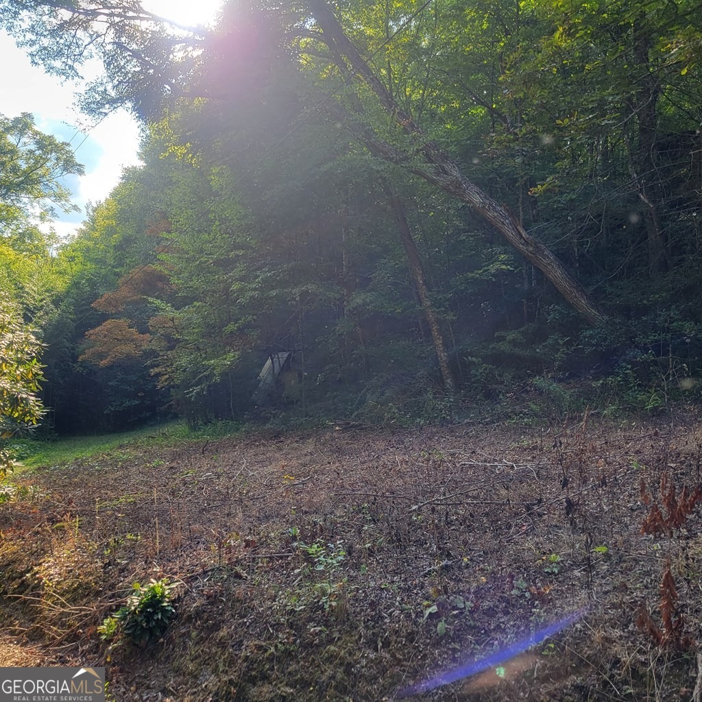 3.38-acres Long Creek Road Robbinsville, NC 28771 - Photo 5 of 14 a view of a yard with a trees