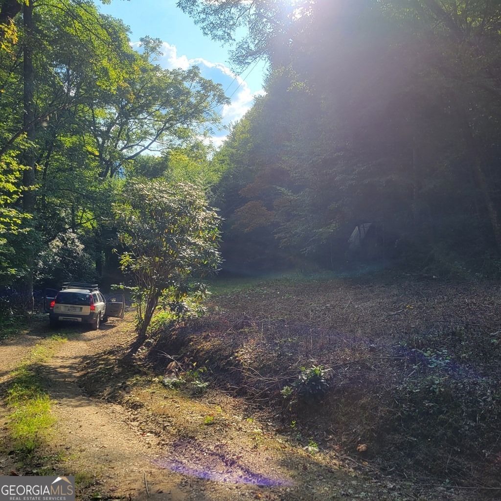 3.38-acres Long Creek Road Robbinsville, NC 28771 - Photo 6 of 14 a view of a yard with a tree