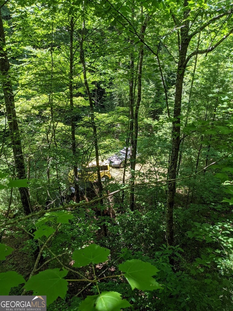 3.38-acres Long Creek Road Robbinsville, NC 28771 - Photo 7 of 14