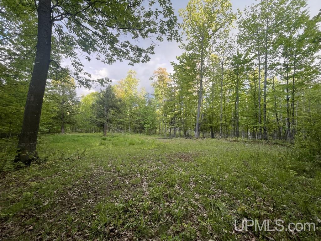 14895 Bellaire Road Baraga, MI 49908 - Photo 44 of 52 Gallery Image 44