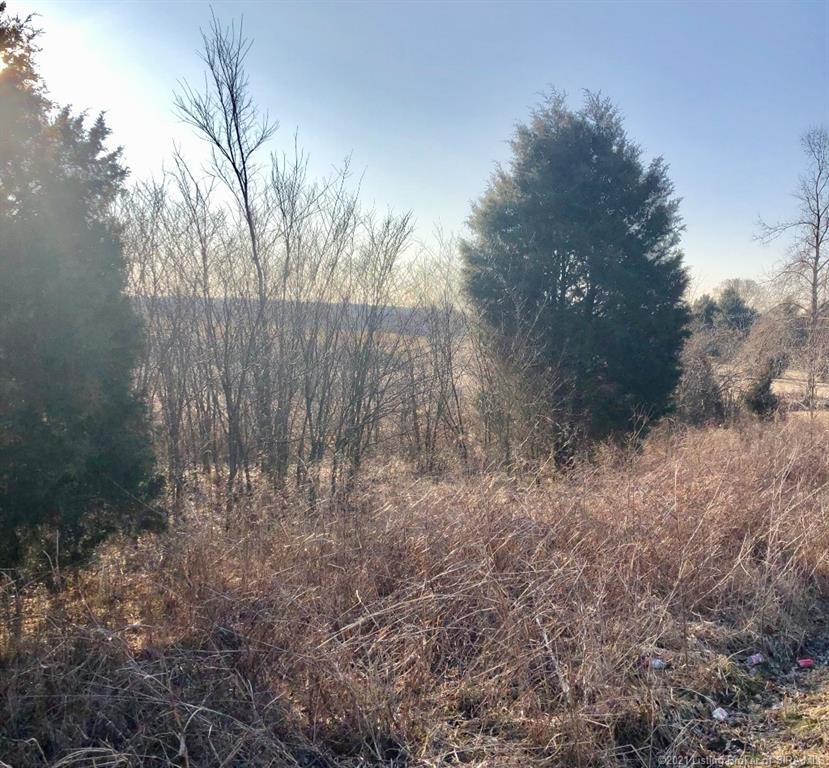 South Bush Road Pekin, IN 47165 - Photo 1 of 4