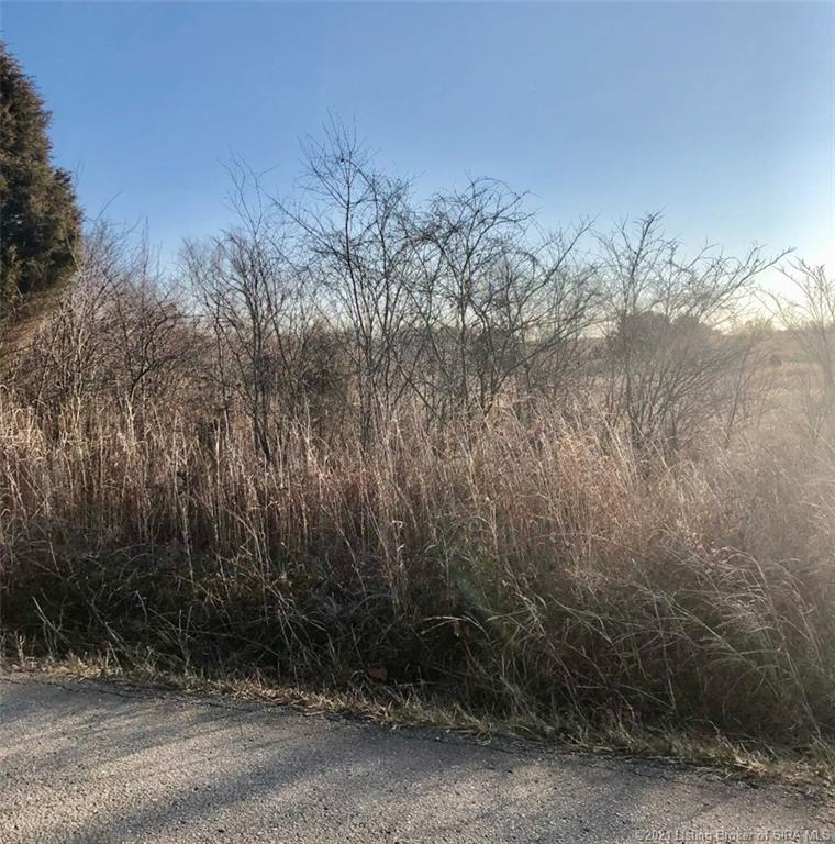South Bush Road Pekin, IN 47165 - Photo 2 of 4
