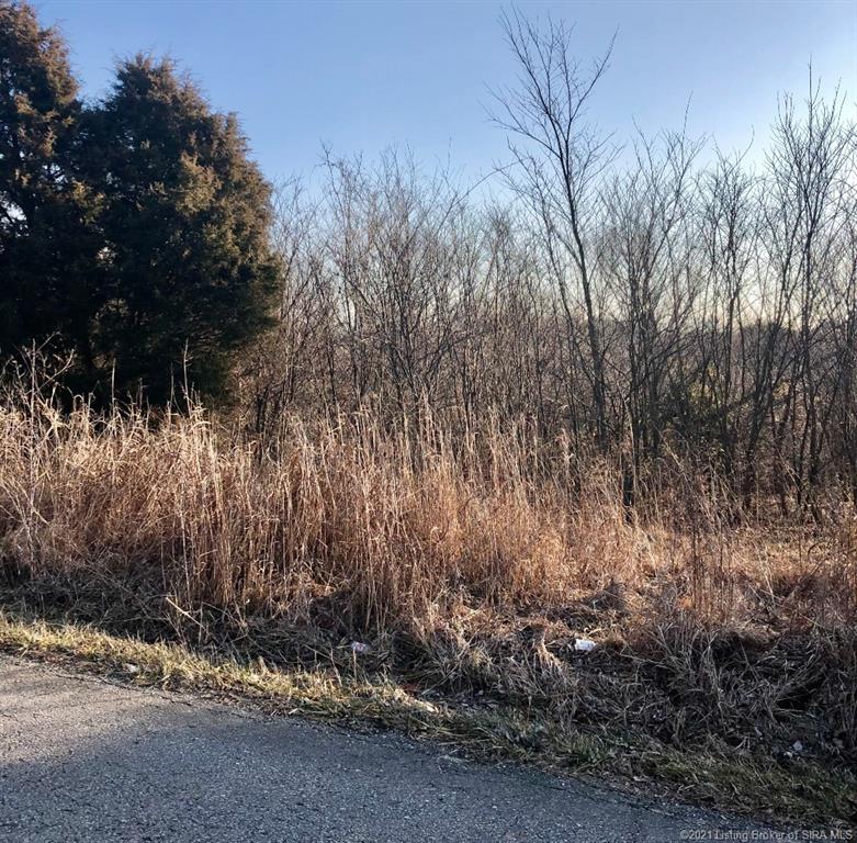 South Bush Road Pekin, IN 47165 - Photo 3 of 4