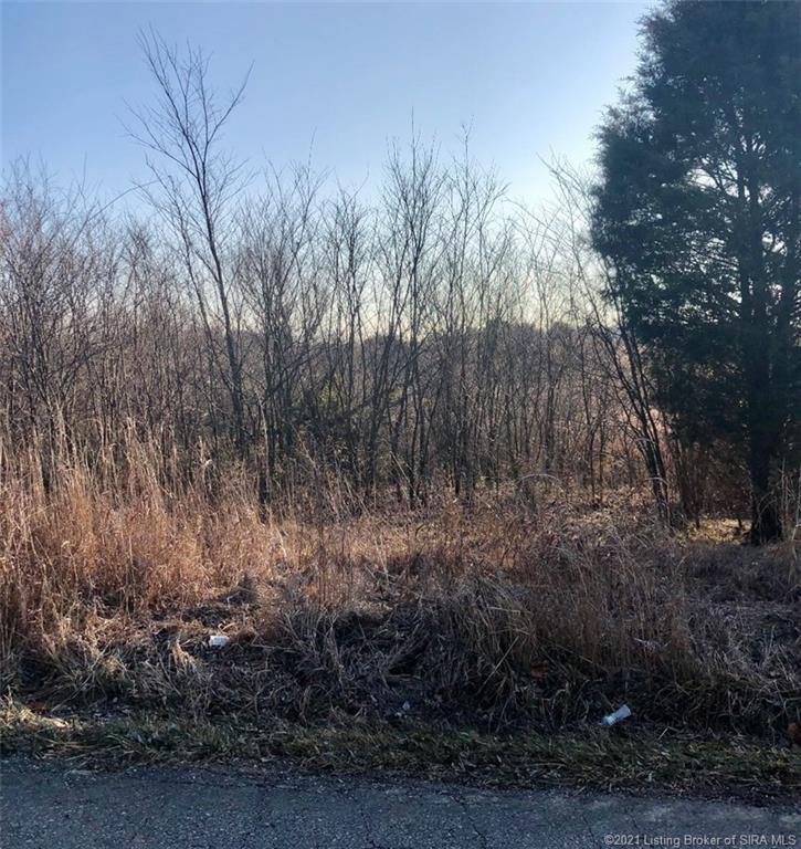 South Bush Road Pekin, IN 47165 - Photo 4 of 4