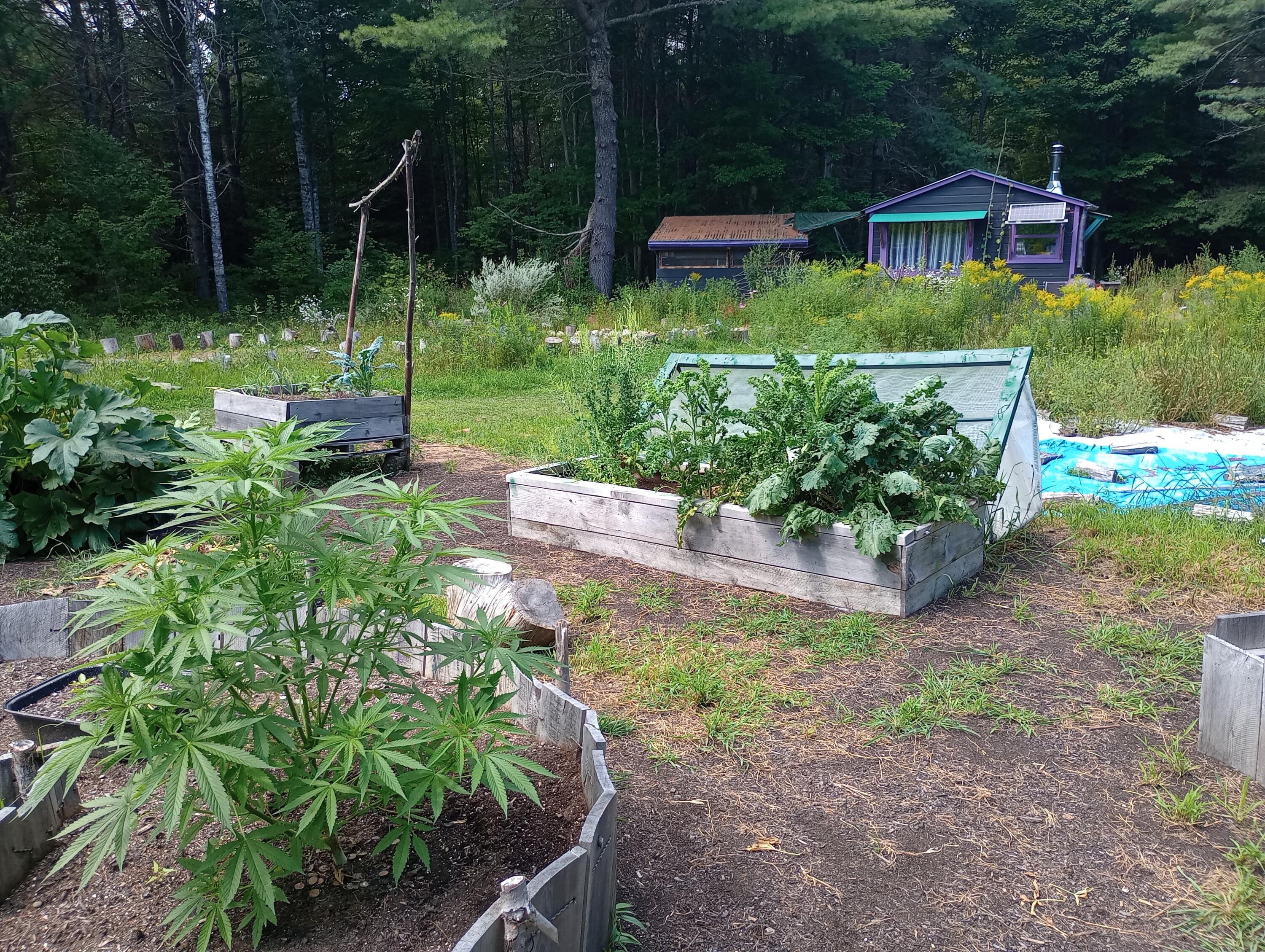 321 North Road Lee, ME 04455 - Photo 13 of 26 garden-3