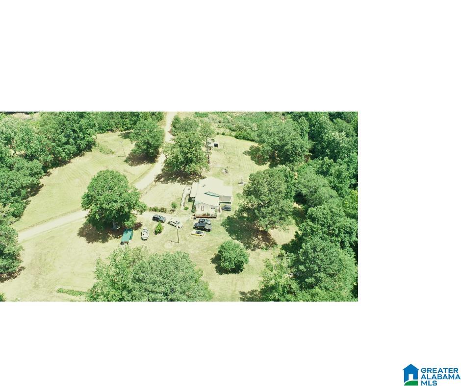 156 County Road 289 Wedowee, AL 36278 - Photo 50 of 53