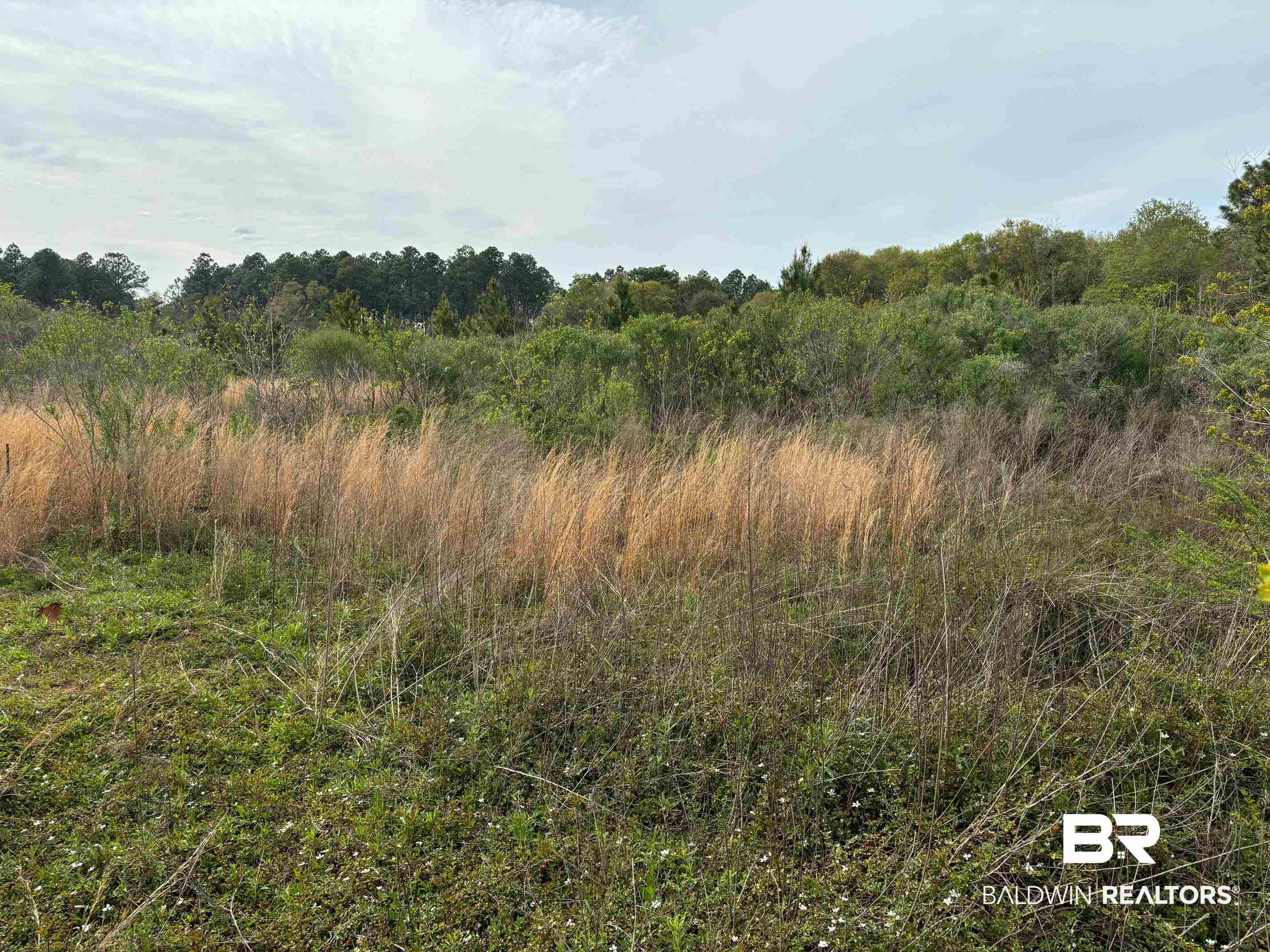 3740 Latigo Road Mobile, AL 36695 - Photo 4 of 8 View of landscape with a wooded view