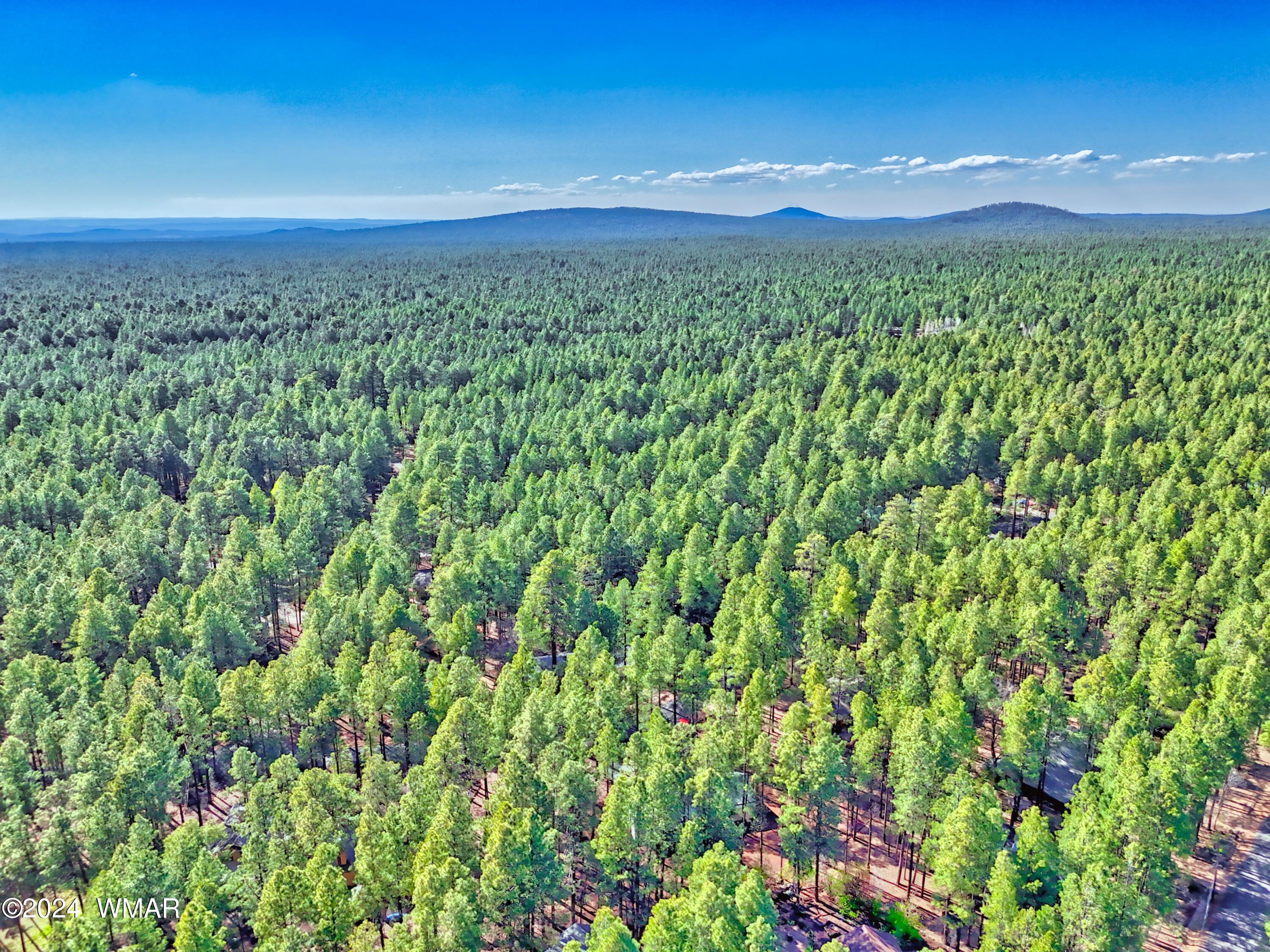 8405 Eagle Point Road Pinetop, AZ 85935 - Photo 11 of 45 Gallery Image 11