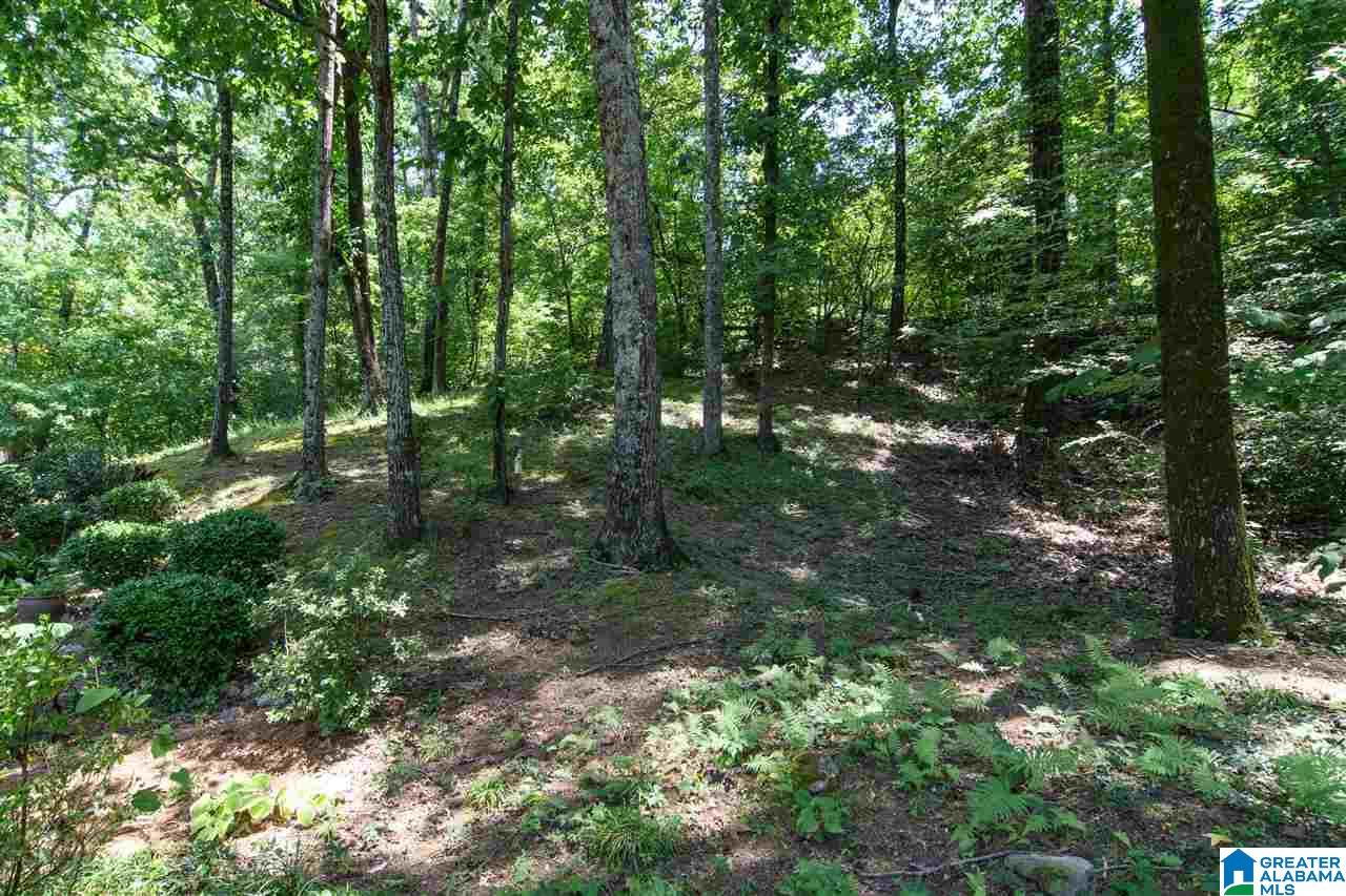 1739 Old Columbiana Road Birmingham, AL 35216 - Photo 42 of 44