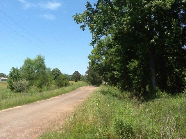 0 Ed Brumfield Road Osyka, MS 39657 - Photo 1 of 1 Main View