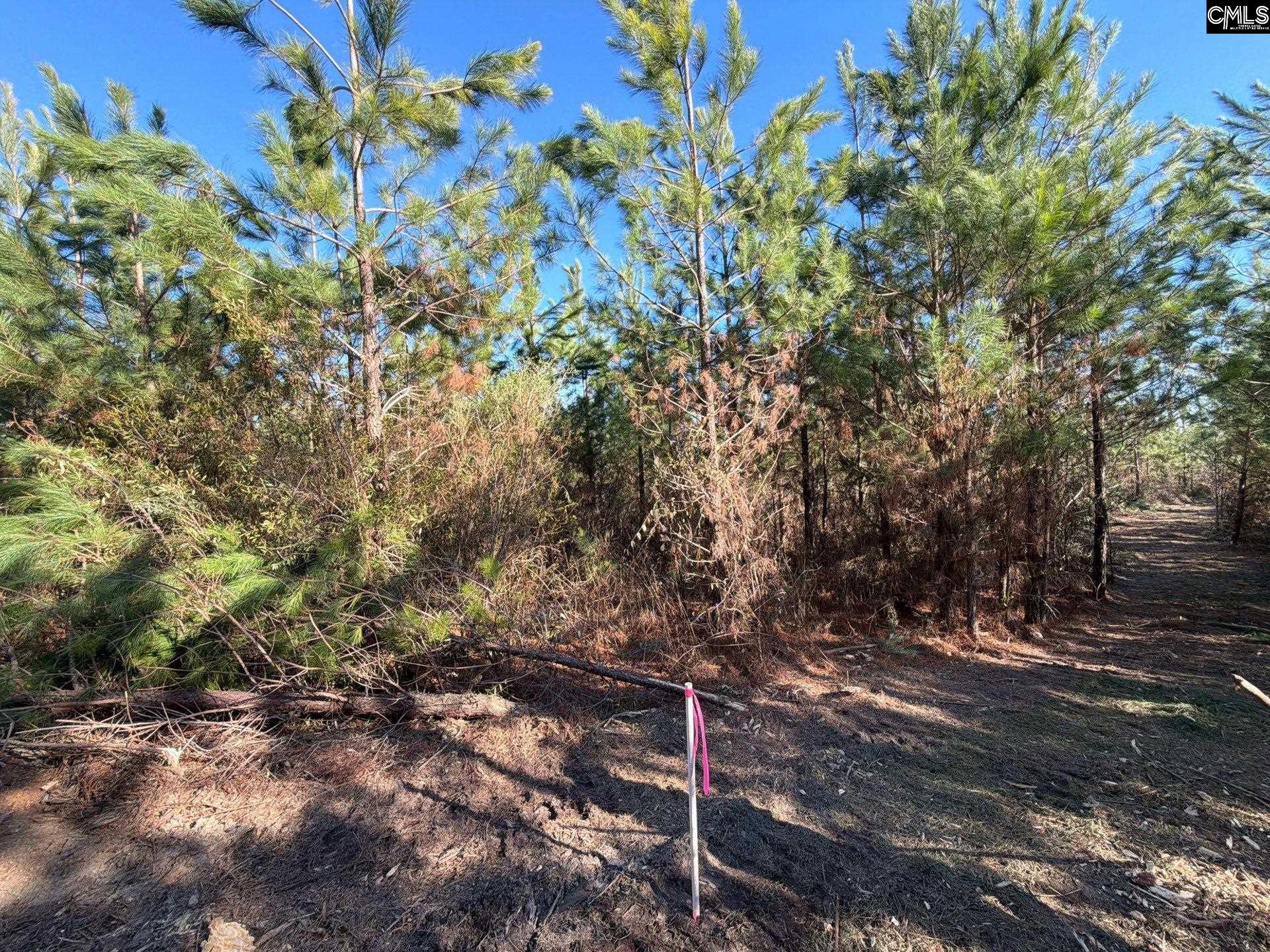 6 Brunson Teal Road, Unit BFF II 6 Patrick, SC 29584 - Photo 5 of 19