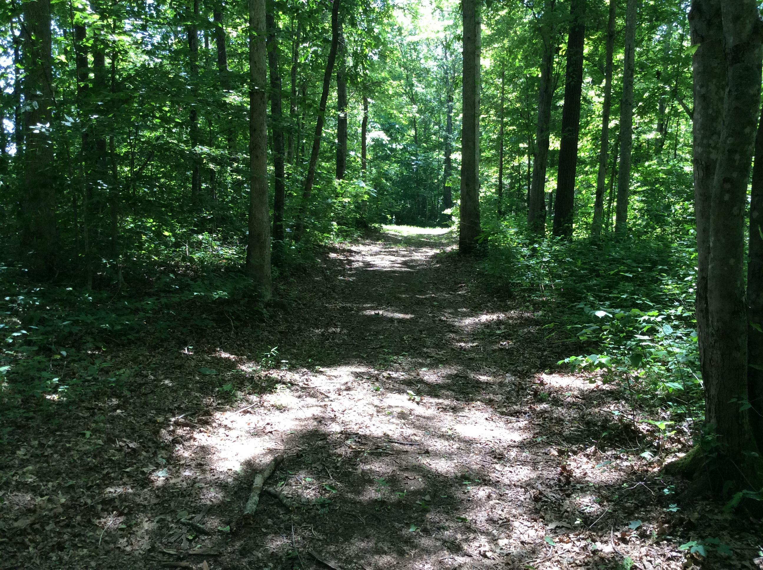 268 Warren Road Science Hill, KY 42553 - Photo 26 of 26 Trail 19