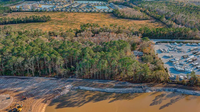 a view of a yard with trees