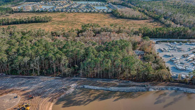a view of a yard with plants