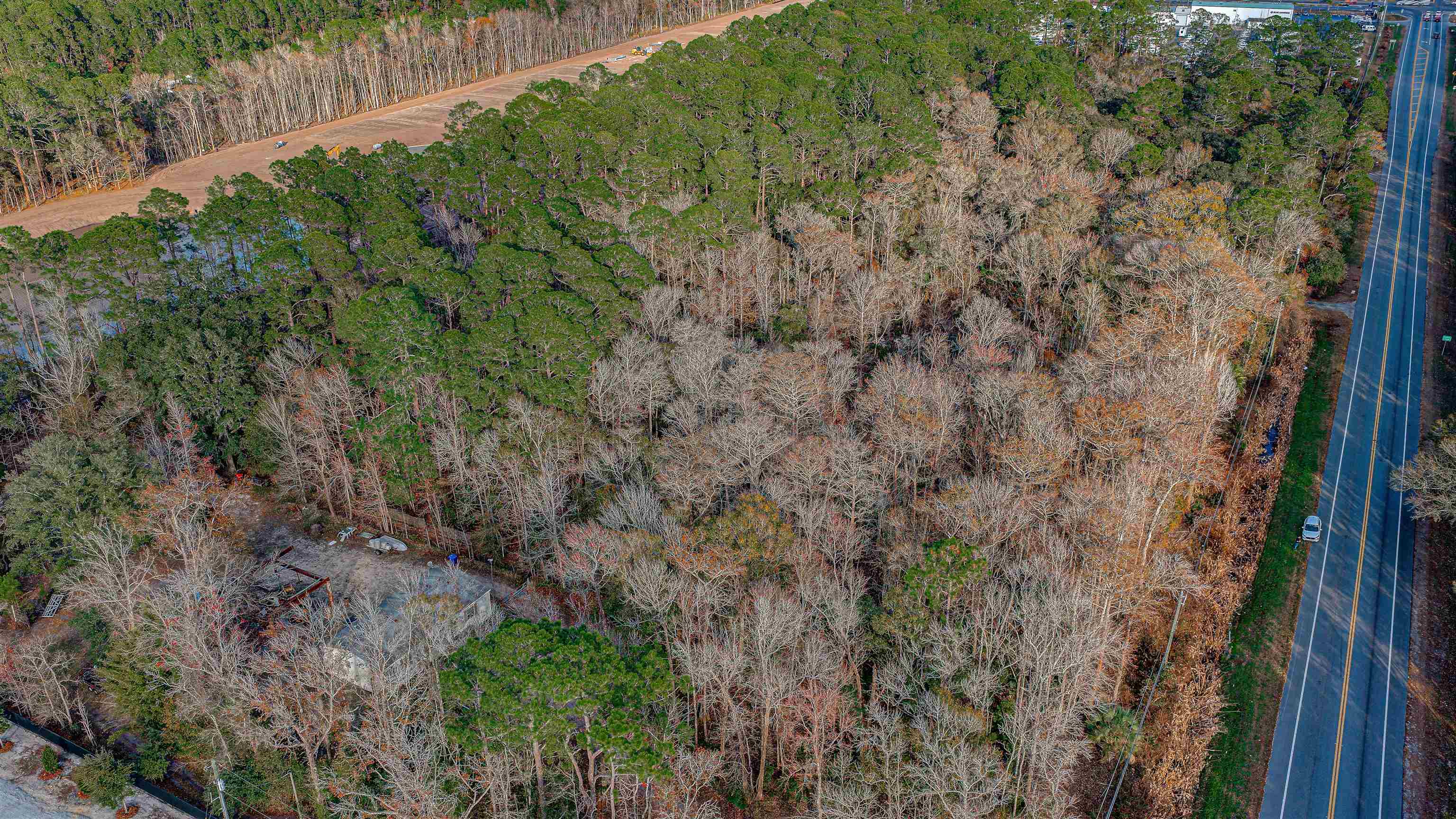 0 State Road 206 St. Augustine, FL 32086 - Photo 27 of 27 a view of a lush green forest with large trees