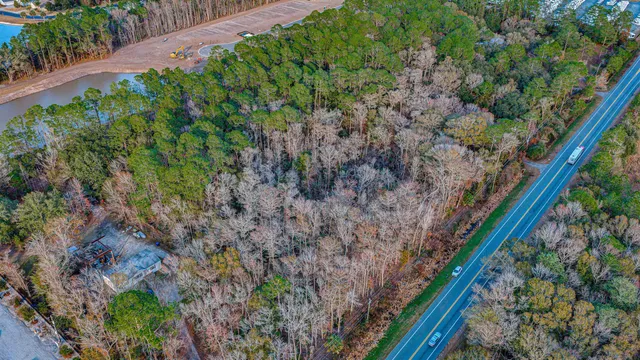 a view of a yard with plants