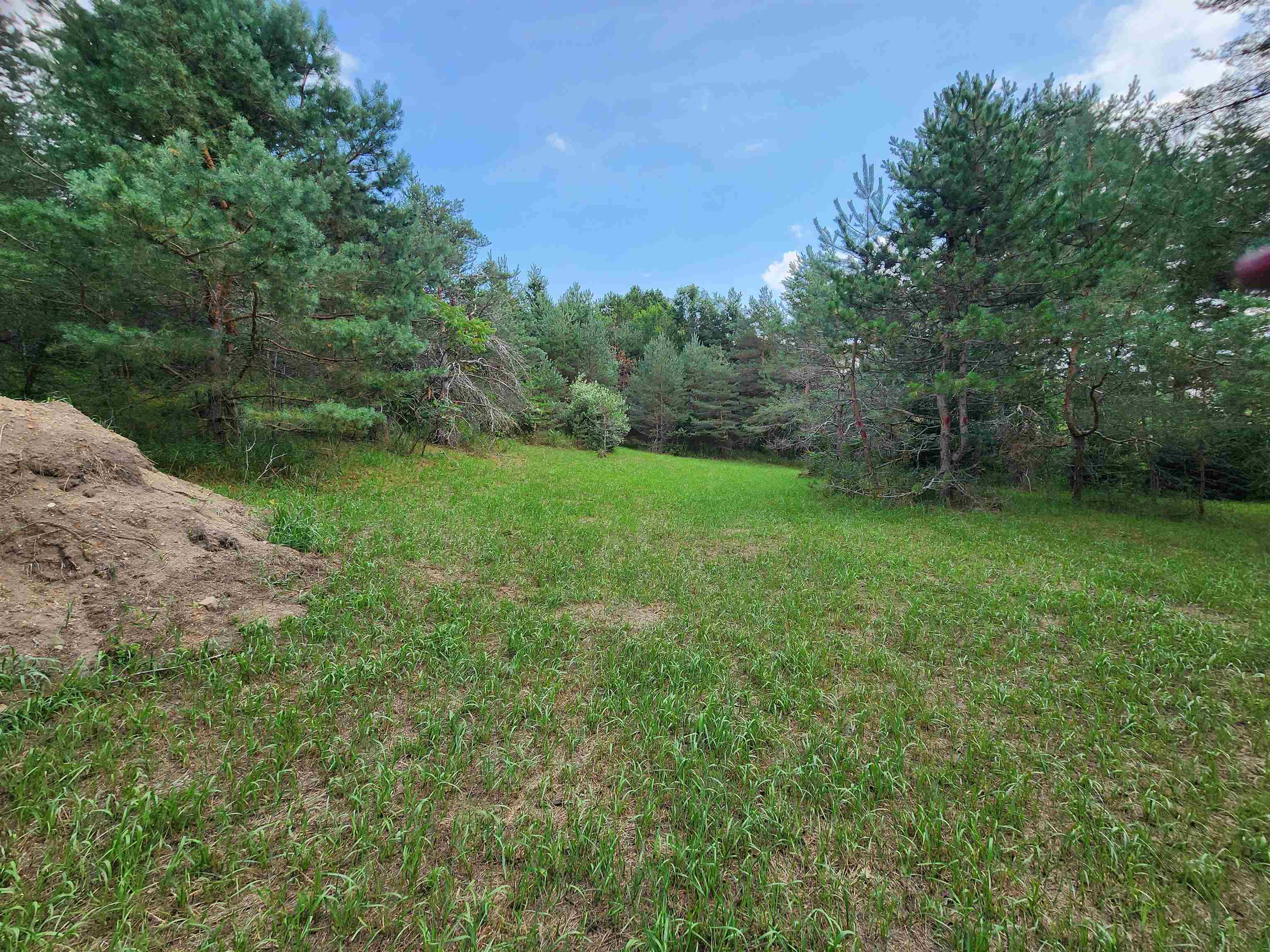 Parcel A East 18 1/2 Road Manton, MI 49663 - Photo 31 of 42 Gallery Image 31