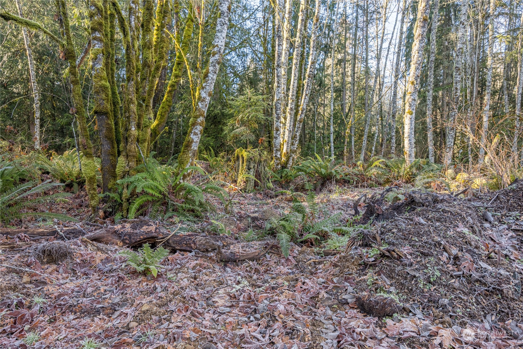 1184 Ripplebrook Drive Port Angeles, WA 98362 - Photo 17 of 28 Gallery Image 17
