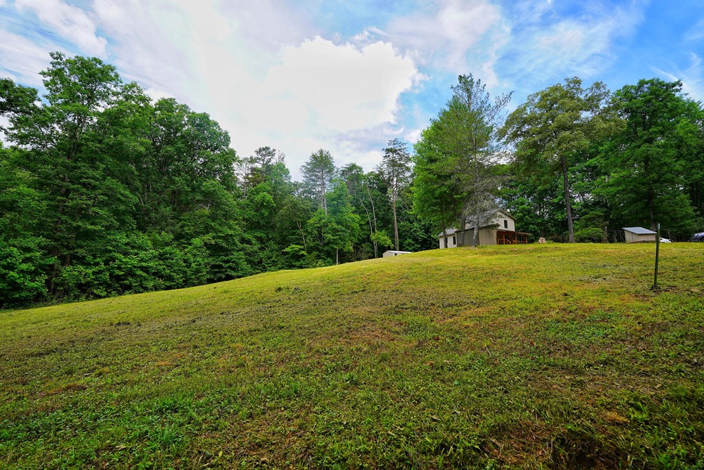 989 New Liberty Road Ellijay, GA 30536 - Photo 41 of 51 Gallery Image 41