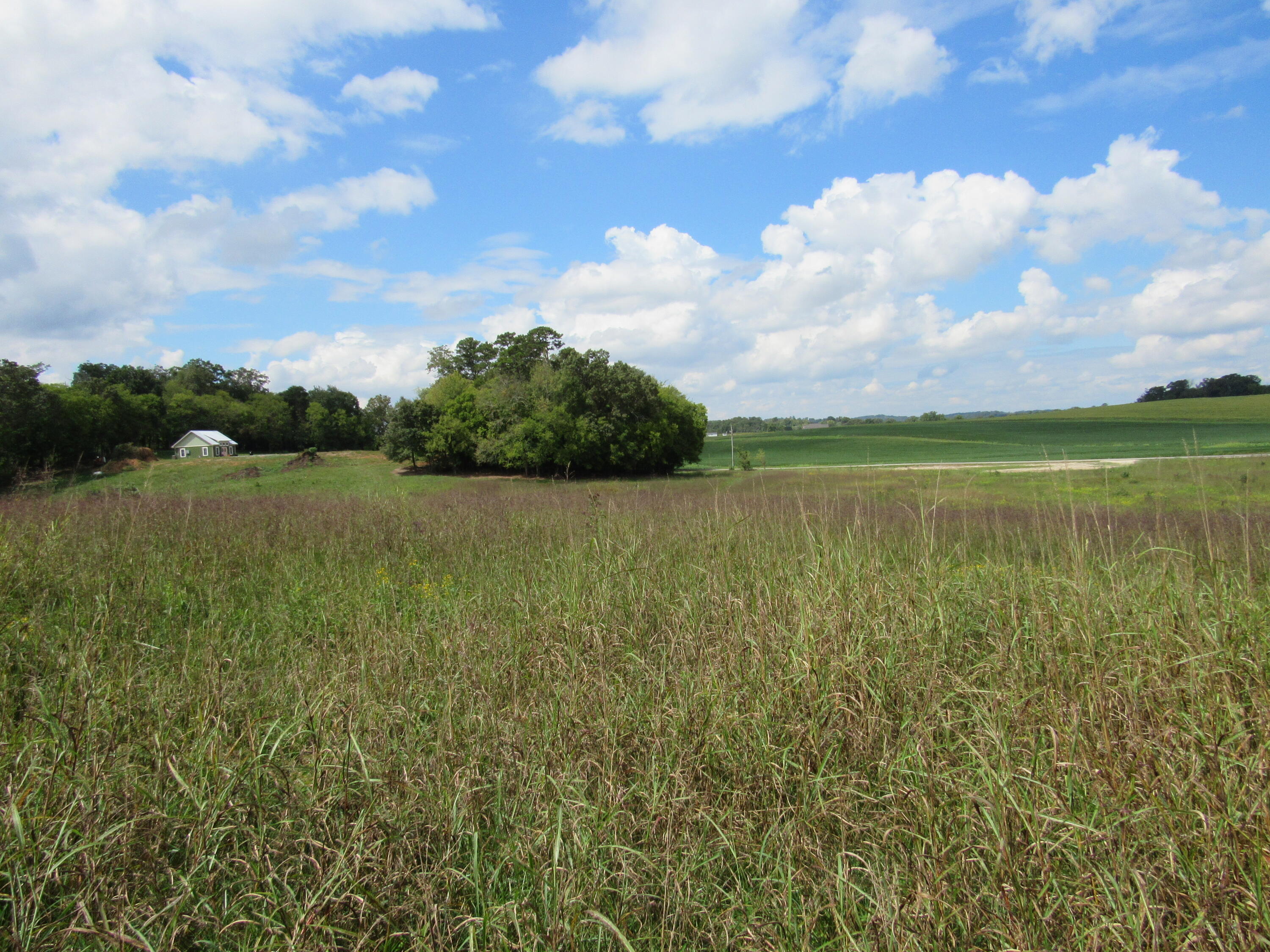 965 Frogpond Road Friendsville, TN 37737 - Photo 1 of 6 IMG_7002