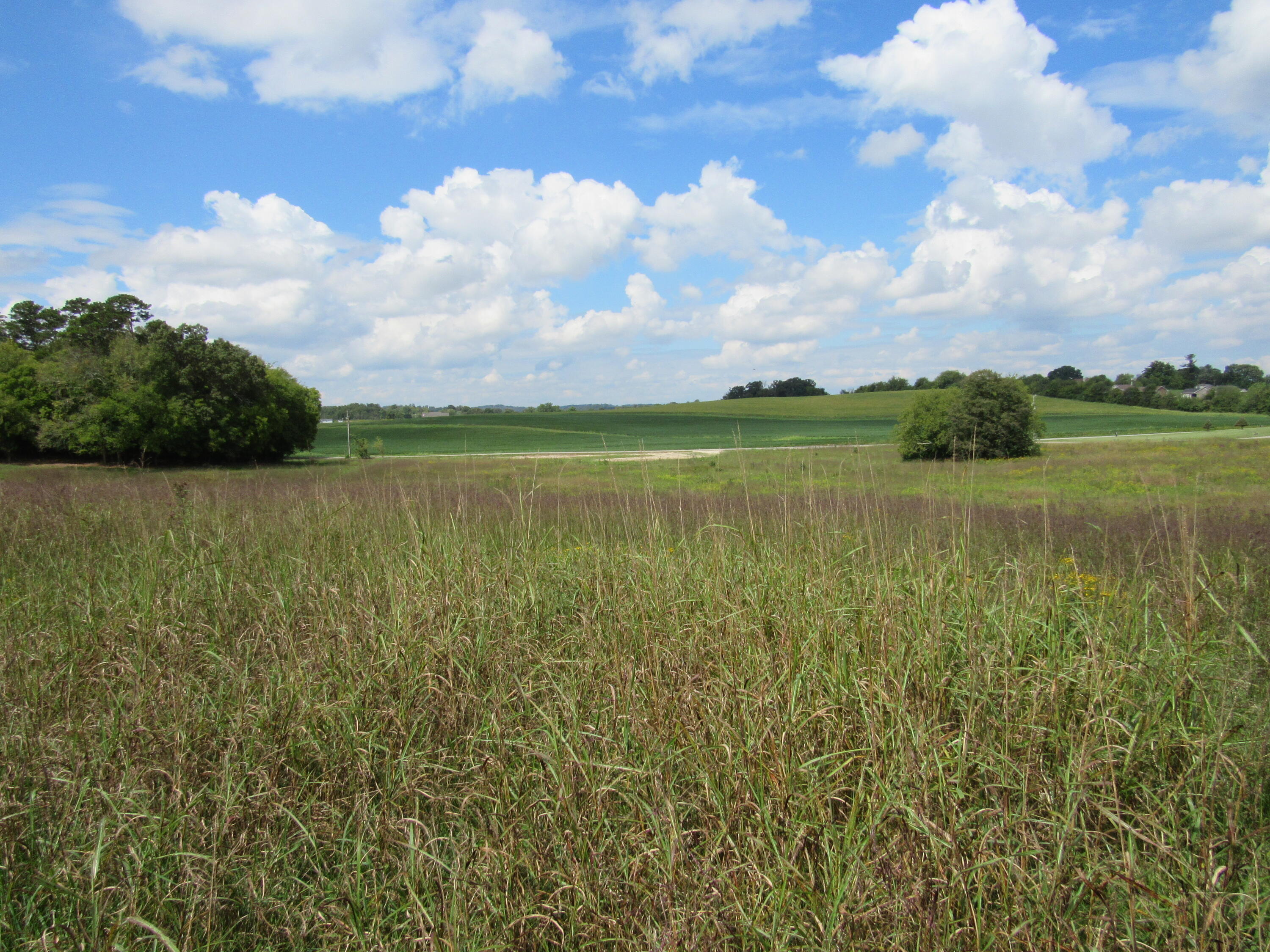 965 Frogpond Road Friendsville, TN 37737 - Photo 2 of 6 IMG_7001