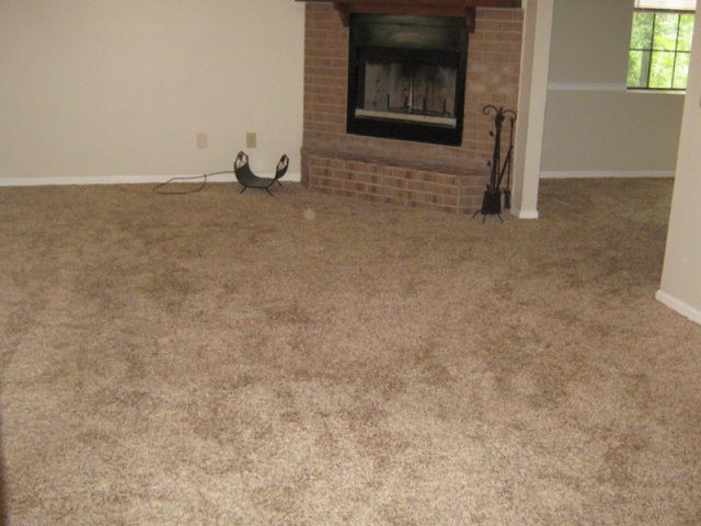 1120 Pine Log Road Aiken, SC 29801 - Photo 4 of 11