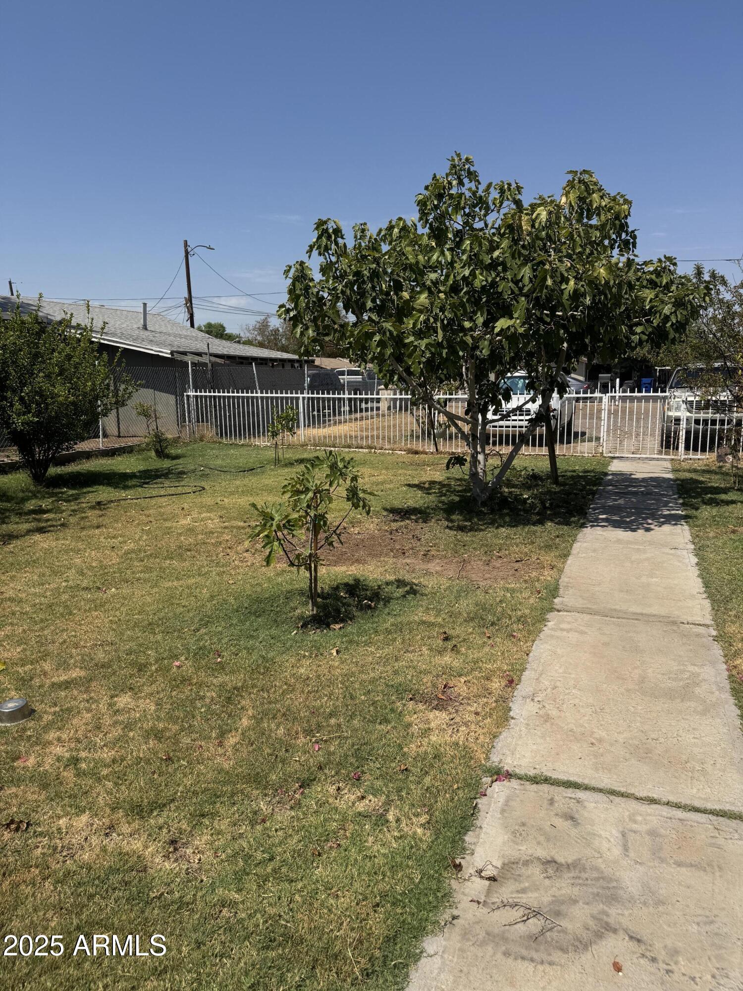 6515 North 59th Drive Glendale, AZ 85301 - Photo 12 of 47 a view of a yard with swimming pool