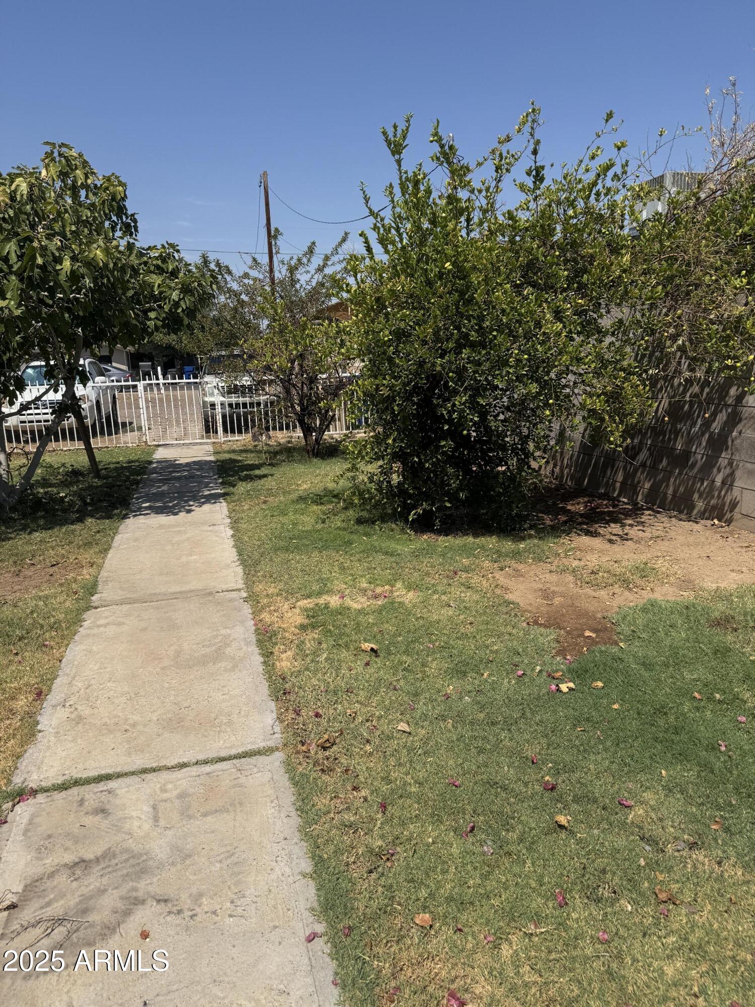 6515 North 59th Drive Glendale, AZ 85301 - Photo 13 of 47 a view of a yard