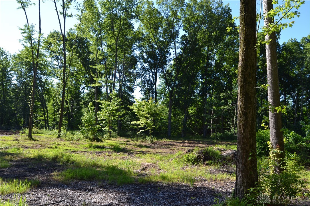 11-ac Case Road New Richmond, OH 45157 - Photo 7 of 19
