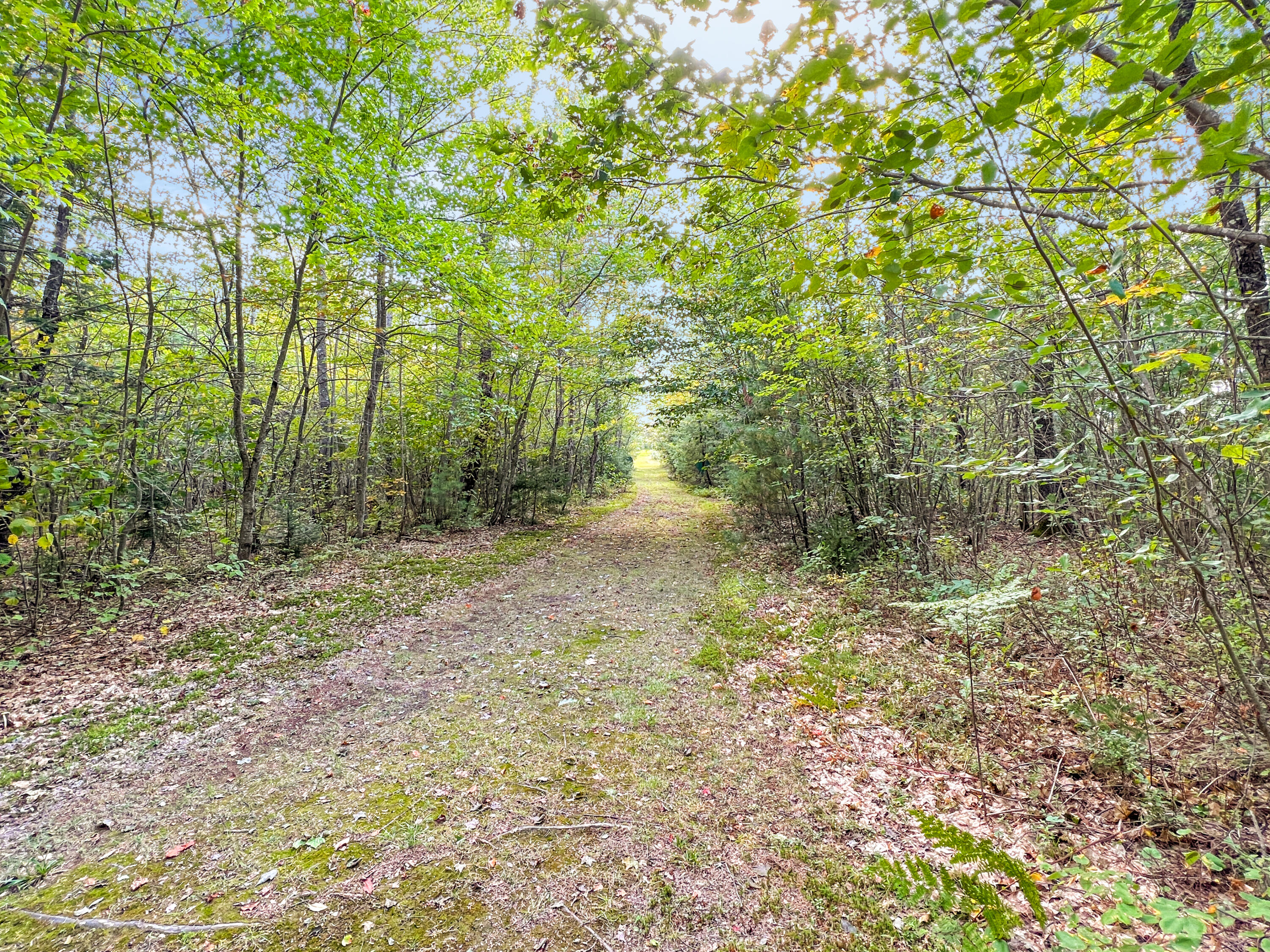 63 Main Road Abbot, ME 04406 - Photo 61 of 68 cd14cc1cda882a4bc8b4923bb6711eafb94e228c