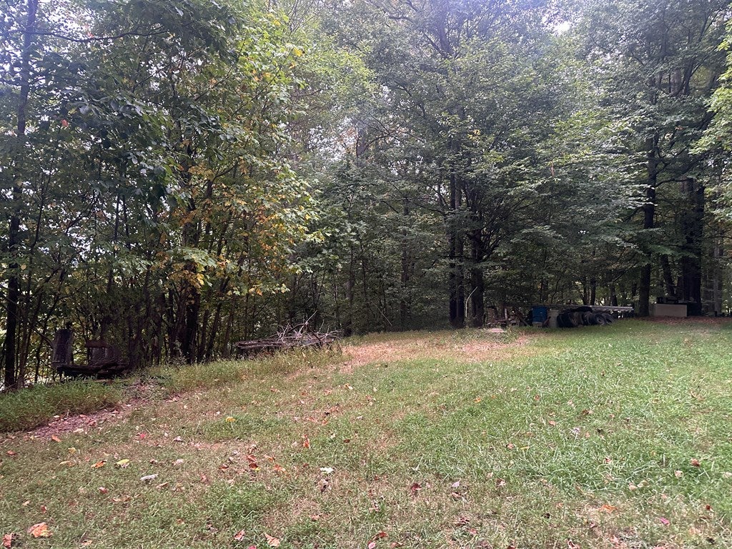 24752 Walden Road, Unit 4 Abingdon, VA 24210 - Photo 37 of 45 Gallery Image 37