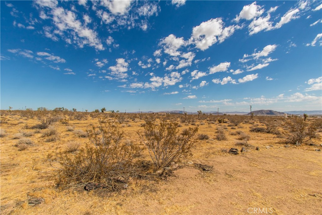 0 Old Woman Springs Road Landers, CA 92285 - Photo 8 of 15 a view of a yard