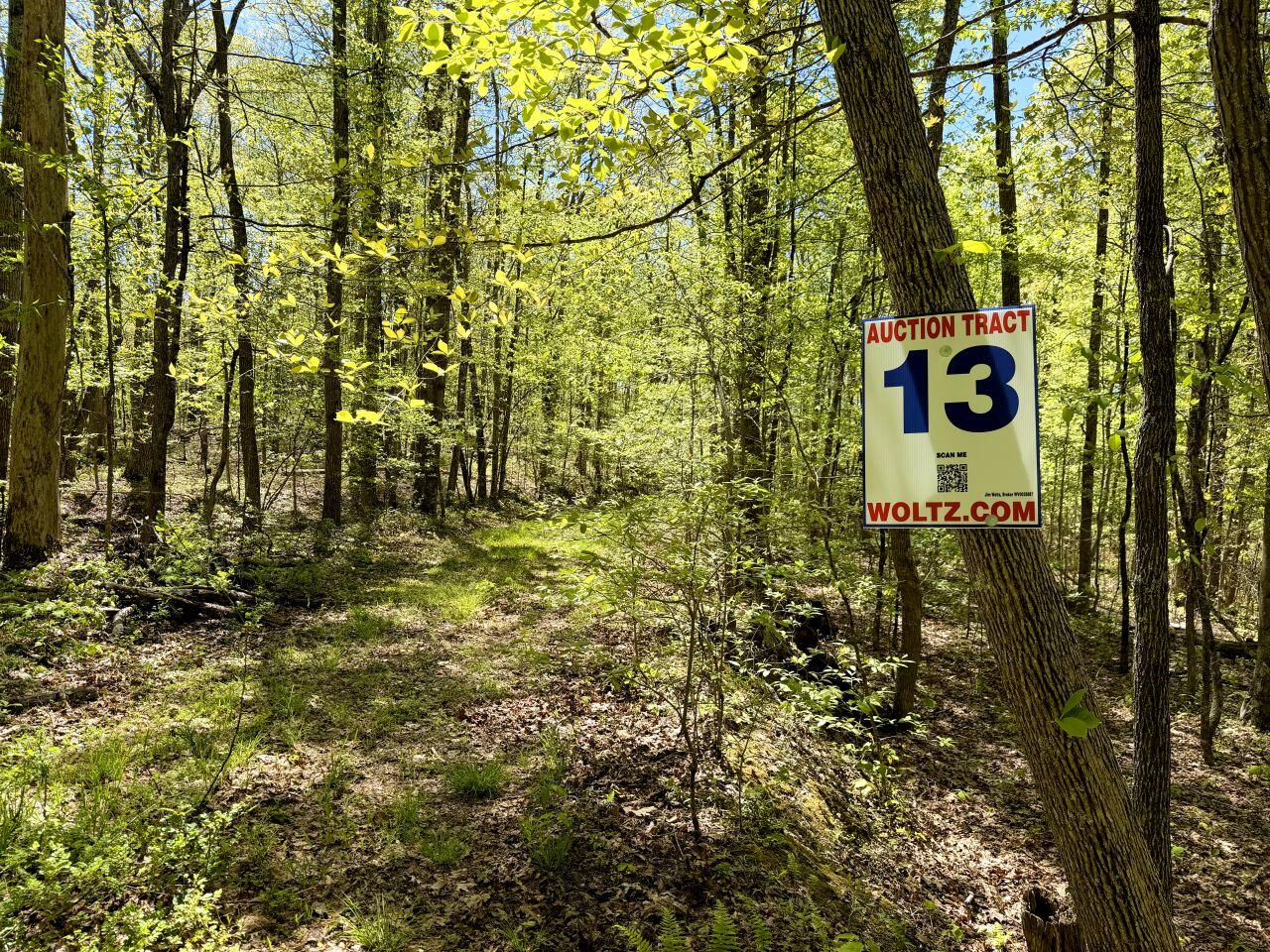 0 Iona Road White Oak, WV 25989 - Photo 49 of 150 Tract-13-IMG_4484