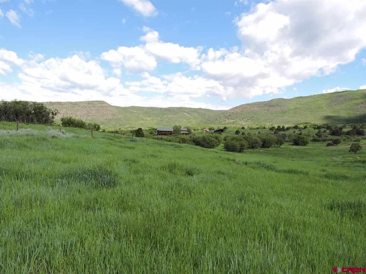 18880 3100th Road Hotchkiss, CO 81419 - Photo 13 of 45