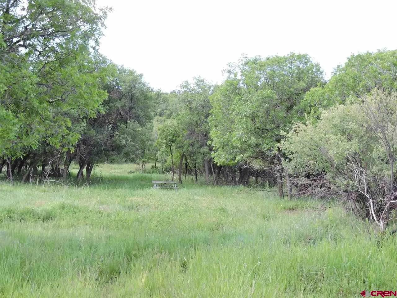 18880 3100th Road Hotchkiss, CO 81419 - Photo 14 of 45