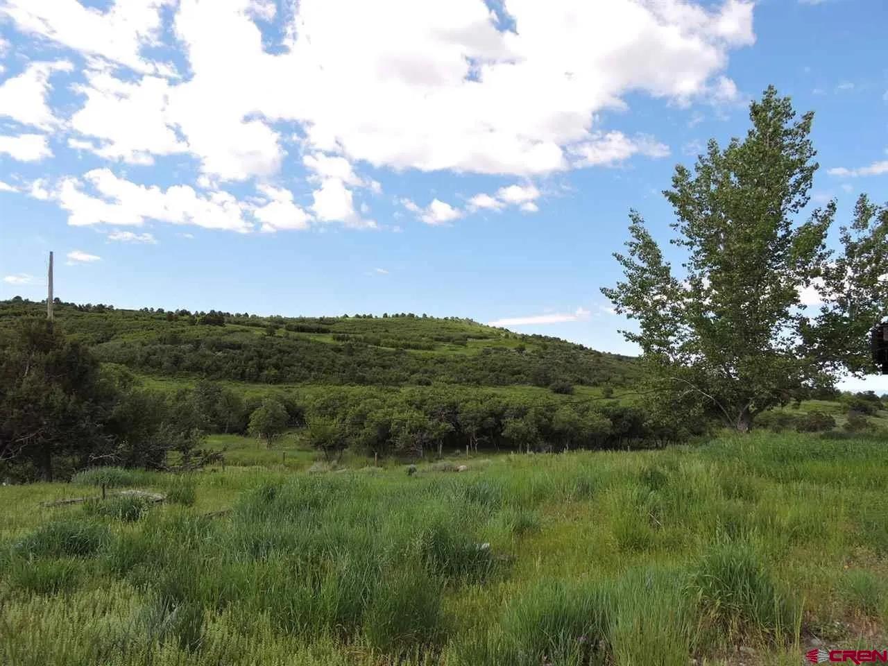 18880 3100th Road Hotchkiss, CO 81419 - Photo 15 of 45