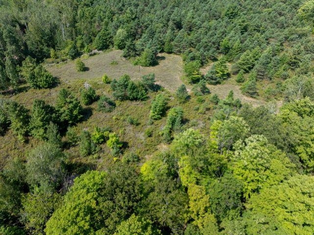 Scandia Road, Unit 4 Sister Bay, WI 54234 - Photo 6 of 12
