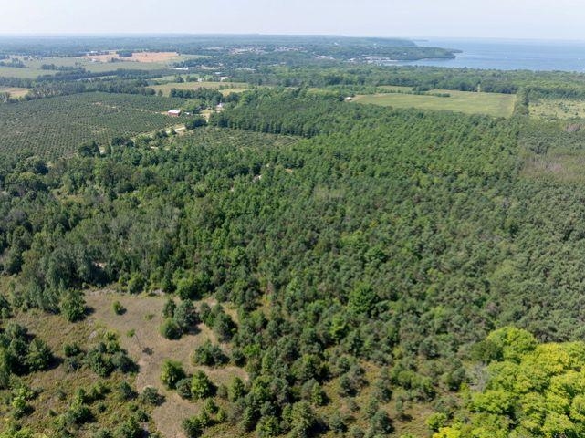 Scandia Road, Unit 4 Sister Bay, WI 54234 - Photo 10 of 12