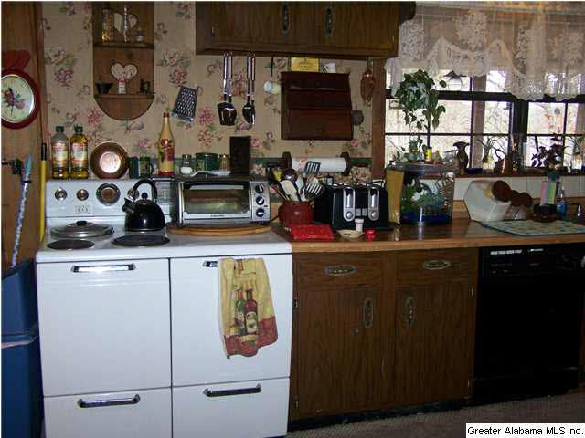 193 Coosa View Lane Riverside, AL 35135 - Photo 11 of 23