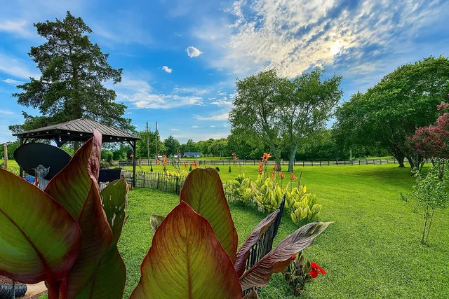 $449,000 | 114 Falling Branch Court, Murfreesboro, TN 37129